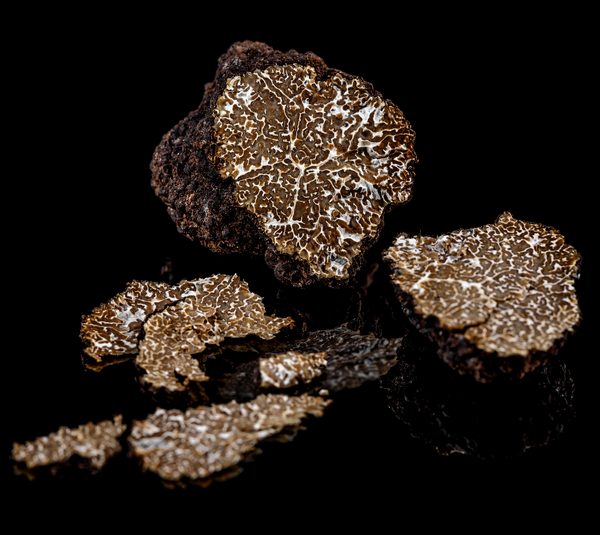 Black truffles slices